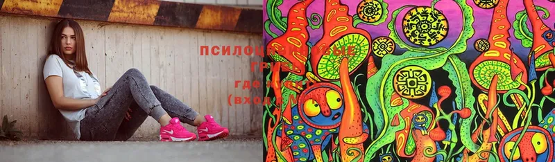 shop состав  что такое   Волжск  Галлюциногенные грибы MAGIC MUSHROOMS 